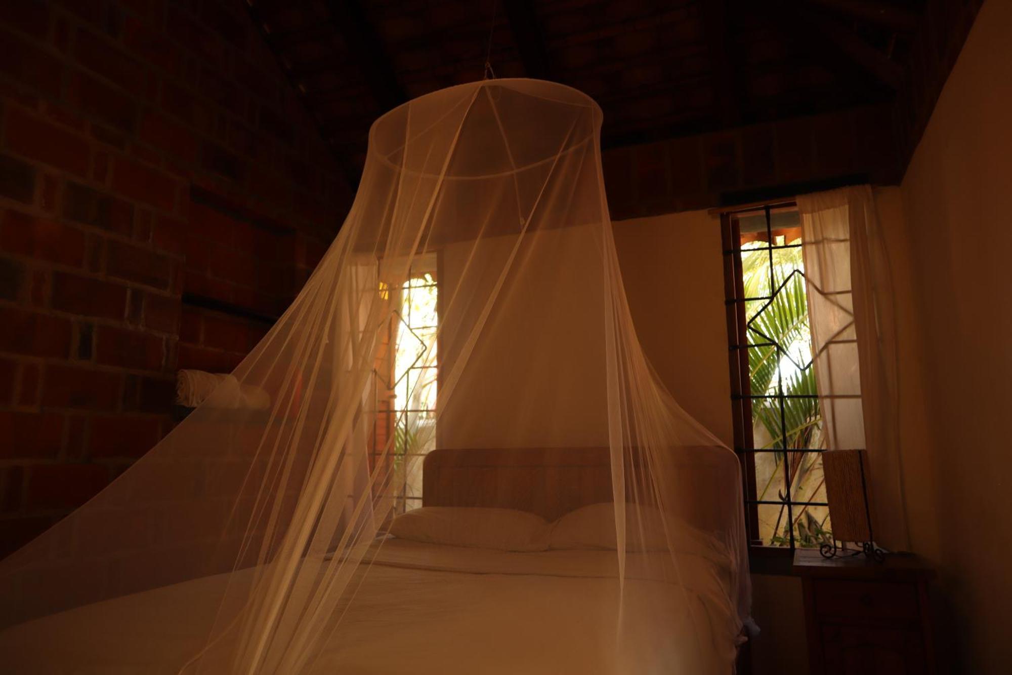 La Loma Linda, Bungalows, Yoga And Feldenkrais, Starlink Internet Zipolite Extérieur photo