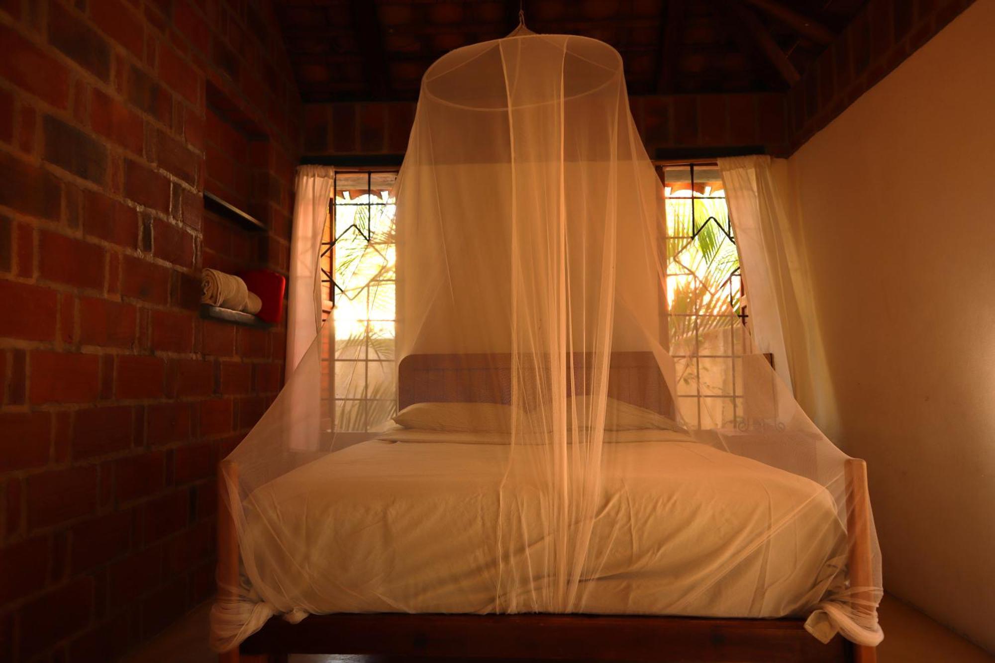 La Loma Linda, Bungalows, Yoga And Feldenkrais, Starlink Internet Zipolite Extérieur photo